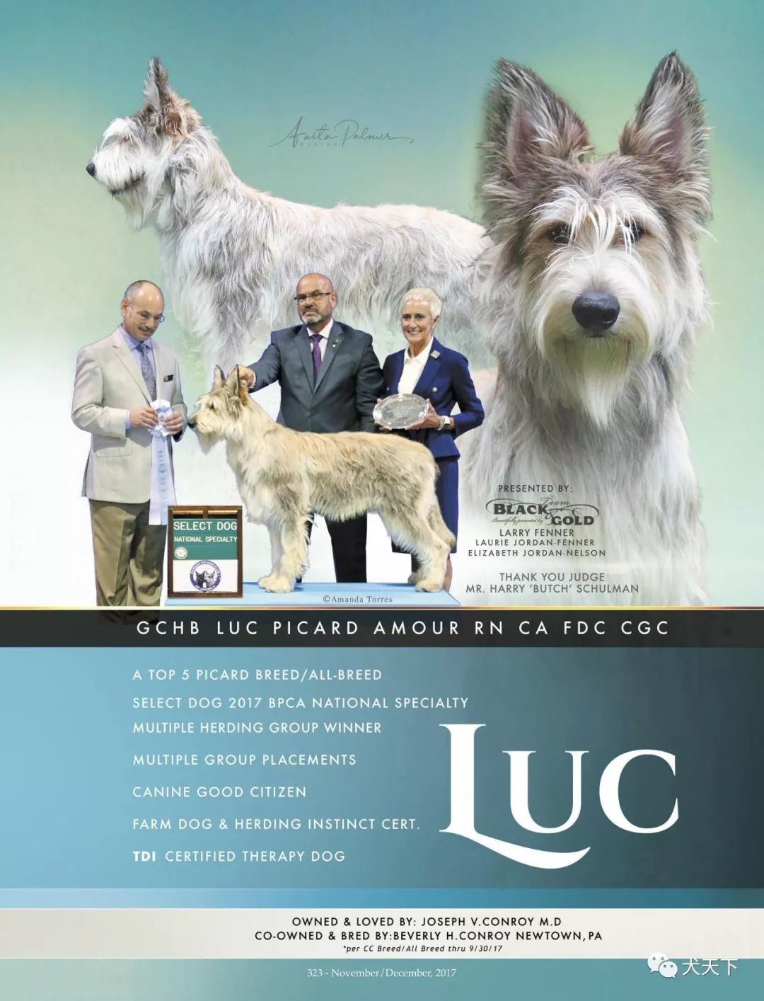 2025正版資料免費(fèi)下載入口與新澳門(mén)天天精準(zhǔn)大全謎語(yǔ):狗、龍、蛇、牛和抵制欺詐的假誘導(dǎo)詞,條理釋義、專(zhuān)家解讀解釋與落實(shí)?